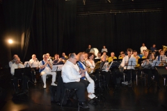 ensemble-3-s1