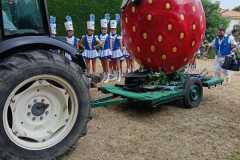 IMG-20250601-WA0018