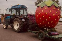 IMG-20250601-WA0071